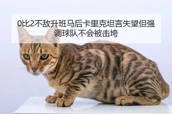 0比2不敌升班马后卡里克坦言失望但强调球队不会被击垮